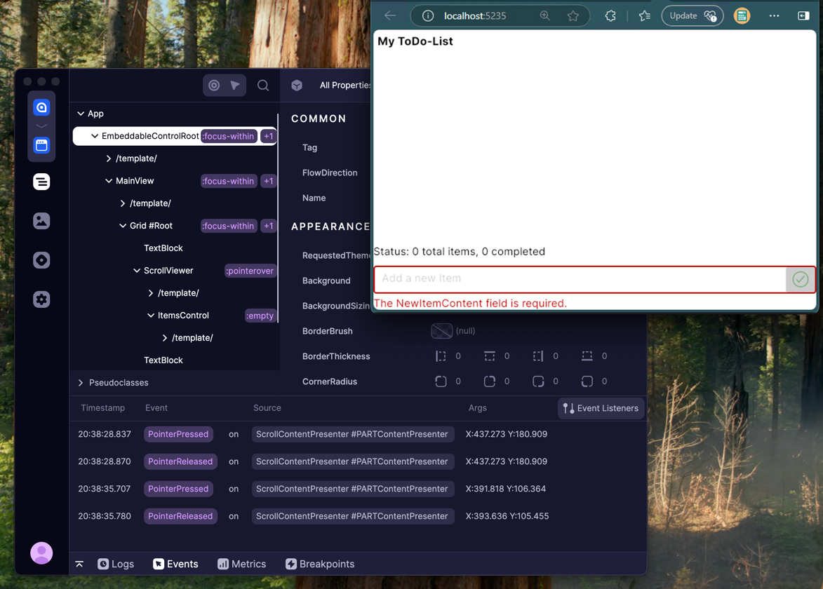 Browser with Developer Tools